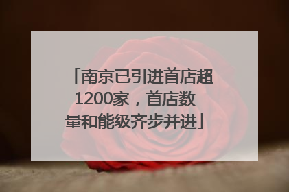 南京已引进首店超1200家，首店数量和能级齐步并进
