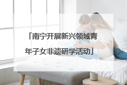 南宁开展新兴领域青年子女非遗研学活动