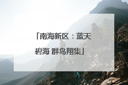 南海新区：蓝天碧海 群鸟翔集