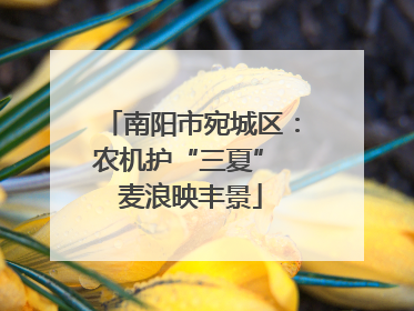 南阳市宛城区：农机护“三夏” 麦浪映丰景