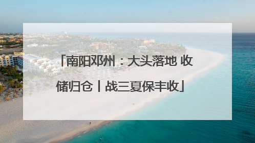 南阳邓州：大头落地 收储归仓丨战三夏保丰收