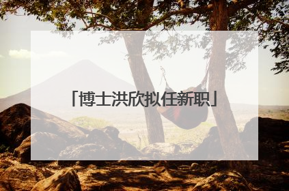 博士洪欣拟任新职