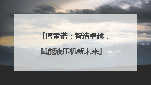 博雷诺：智造卓越，赋能液压机新未来