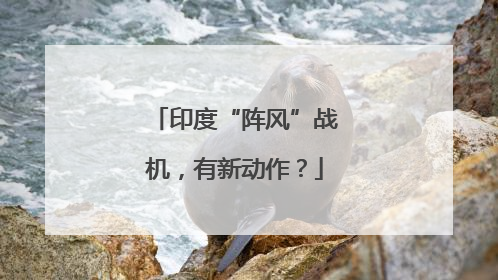 印度“阵风”战机，有新动作？