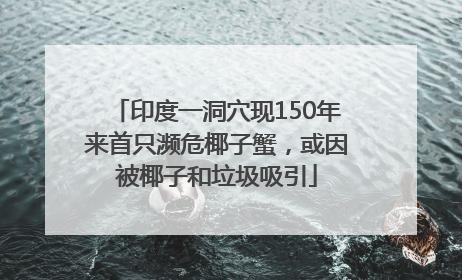 印度一洞穴现150年来首只濒危椰子蟹，或因被椰子和垃圾吸引