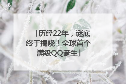 历经22年，谜底终于揭晓！全球首个满级QQ诞生