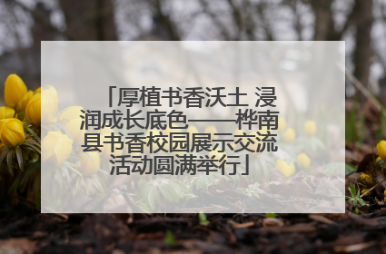 厚植书香沃土 浸润成长底色——桦南县书香校园展示交流活动圆满举行