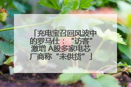 充电宝召回风波中的罗马仕：“访客”激增 A股多家电芯厂商称“未供货”