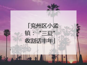 兖州区小孟镇：“三夏”收割话丰年