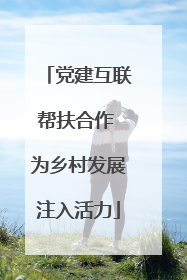党建互联帮扶合作 为乡村发展注入活力