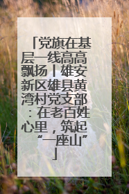 党旗在基层一线高高飘扬丨雄安新区雄县黄湾村党支部：在老百姓心里，筑起“一座山”
