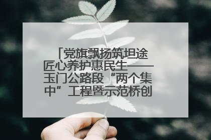 党旗飘扬筑坦途 匠心养护惠民生——玉门公路段“两个集中”工程暨示范桥创建项目圆满收官