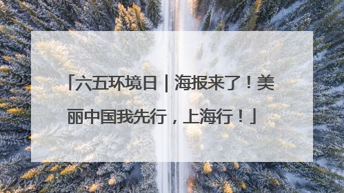 六五环境日｜海报来了！美丽中国我先行，上海行！