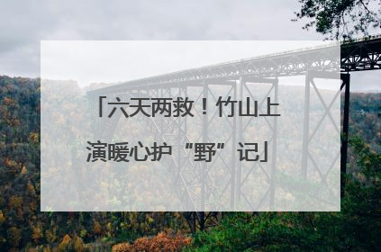 六天两救！竹山上演暖心护“野”记