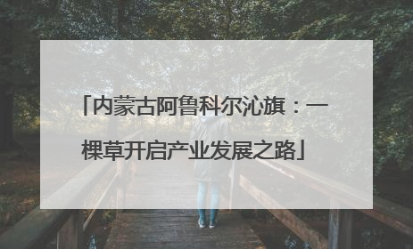 内蒙古阿鲁科尔沁旗：一棵草开启产业发展之路
