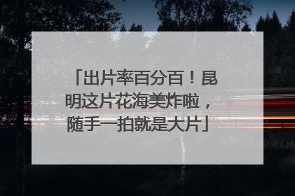 出片率百分百！昆明这片花海美炸啦，随手一拍就是大片