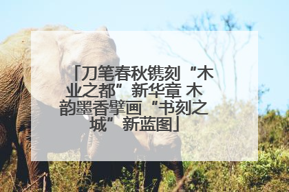 刀笔春秋镌刻“木业之都”新华章 木韵墨香擘画“书刻之城”新蓝图