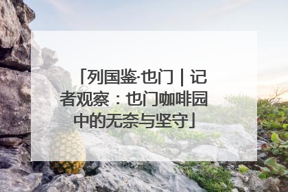 列国鉴·也门｜记者观察：也门咖啡园中的无奈与坚守