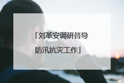刘革安调研督导防汛抗灾工作