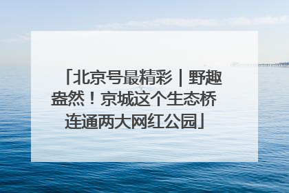 北京号最精彩｜野趣盎然！京城这个生态桥连通两大网红公园