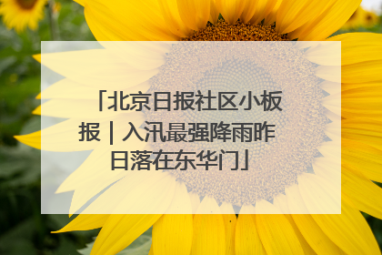 北京日报社区小板报｜入汛最强降雨昨日落在东华门