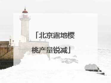北京露地樱桃产量锐减