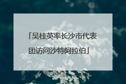 吴桂英率长沙市代表团访问沙特阿拉伯