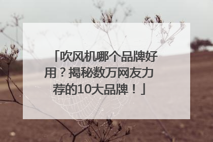 吹风机哪个品牌好用？揭秘数万网友力荐的10大品牌！