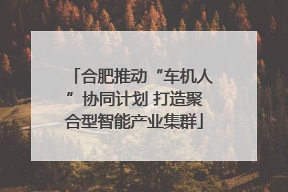 合肥推动“车机人”协同计划 打造聚合型智能产业集群
