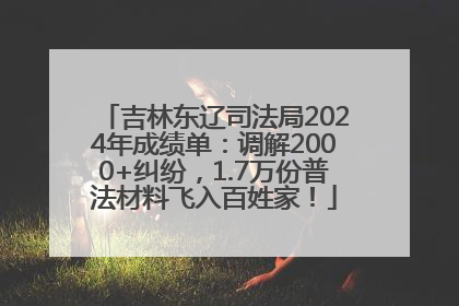 吉林东辽司法局2024年成绩单：调解2000+纠纷，1.7万份普法材料飞入百姓家！