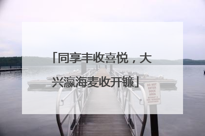 同享丰收喜悦，大兴瀛海麦收开镰