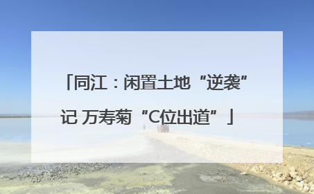 同江：闲置土地“逆袭”记 万寿菊“C位出道”