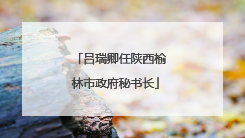 吕瑞卿任陕西榆林市政府秘书长
