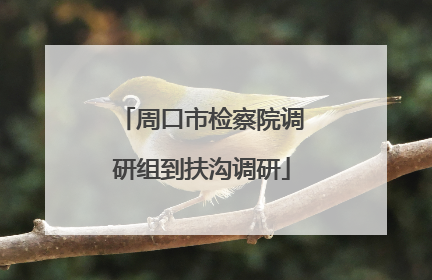 周口市检察院调研组到扶沟调研