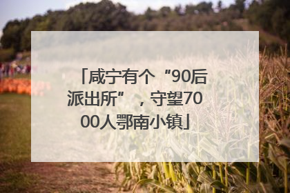 咸宁有个“90后派出所”，守望7000人鄂南小镇