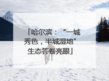 哈尔滨：“一城秀色，半城湿地”生态答卷亮眼