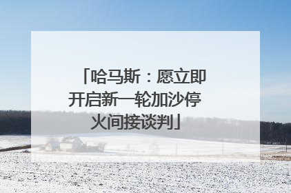 哈马斯：愿立即开启新一轮加沙停火间接谈判