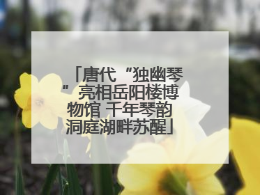唐代“独幽琴”亮相岳阳楼博物馆 千年琴韵洞庭湖畔苏醒
