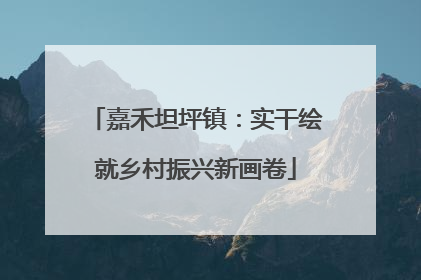 嘉禾坦坪镇：实干绘就乡村振兴新画卷