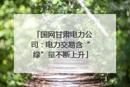 国网甘肃电力公司：电力交易含“绿”量不断上升