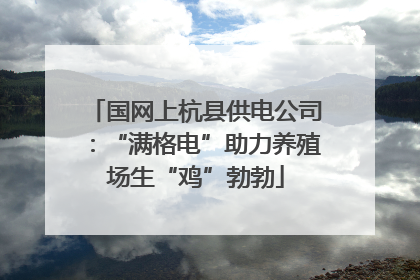 国网上杭县供电公司：“满格电”助力养殖场生“鸡”勃勃