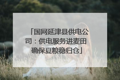 国网延津县供电公司：供电服务进麦田 确保夏粮稳归仓