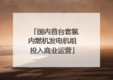 国内首台套氢内燃机发电机组投入商业运营
