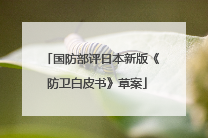 国防部评日本新版《防卫白皮书》草案