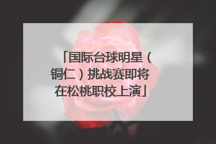 国际台球明星（铜仁）挑战赛即将在松桃职校上演