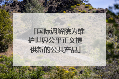 国际调解院为维护世界公平正义提供新的公共产品