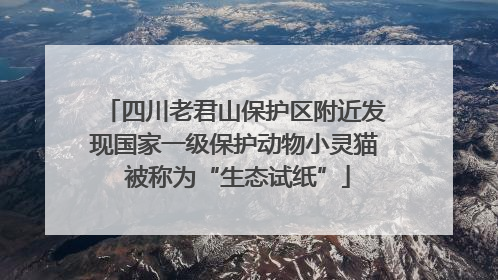四川老君山保护区附近发现国家一级保护动物小灵猫 被称为“生态试纸”