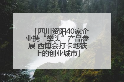 四川资阳40家企业携“拳头”产品参展 西博会打卡地铁上的创业城市