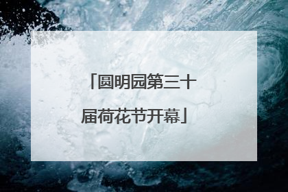 圆明园第三十届荷花节开幕