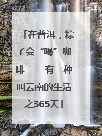 在普洱，粽子会“喝”咖啡——有一种叫云南的生活之365天